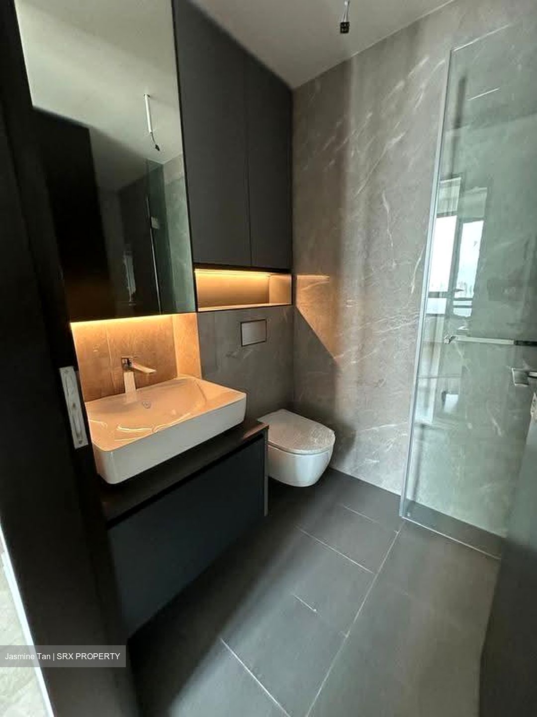 Irwell Hill Residences (D9), Apartment #630793411